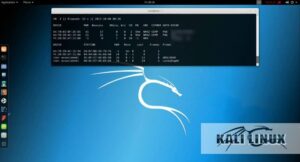 Kali-linux Signal-Sicherheitswerkzeug