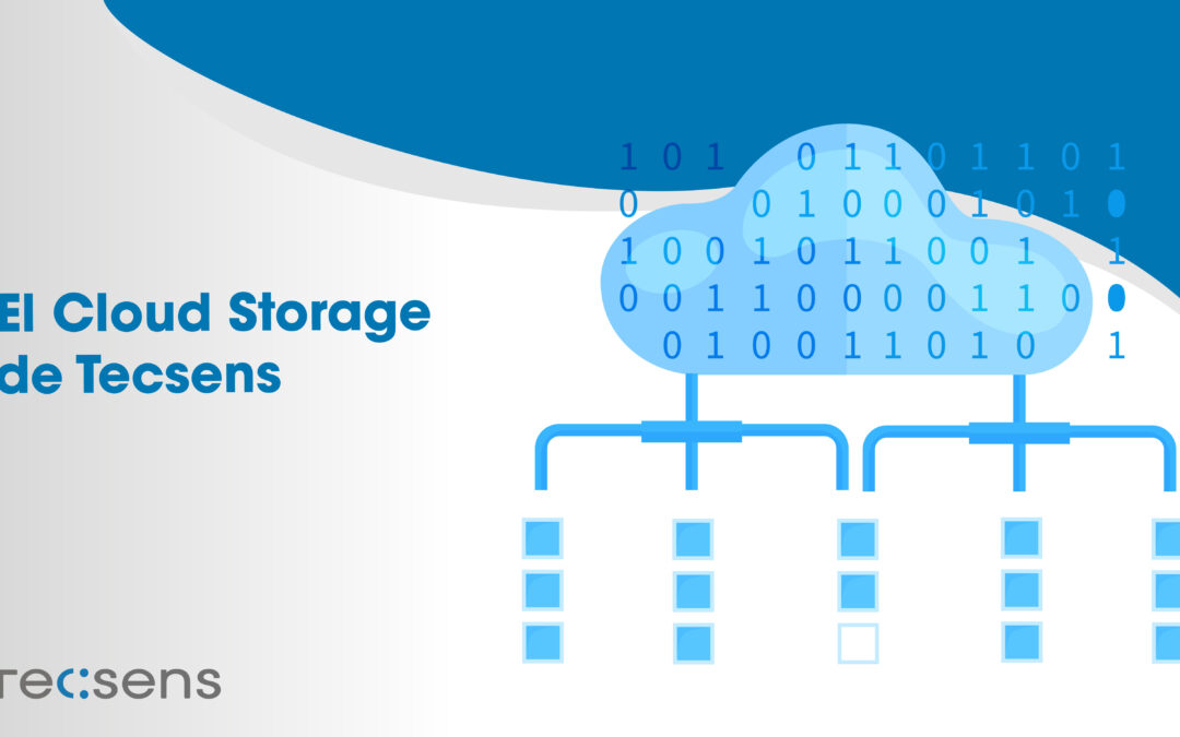 Cloud Storage Tecsens