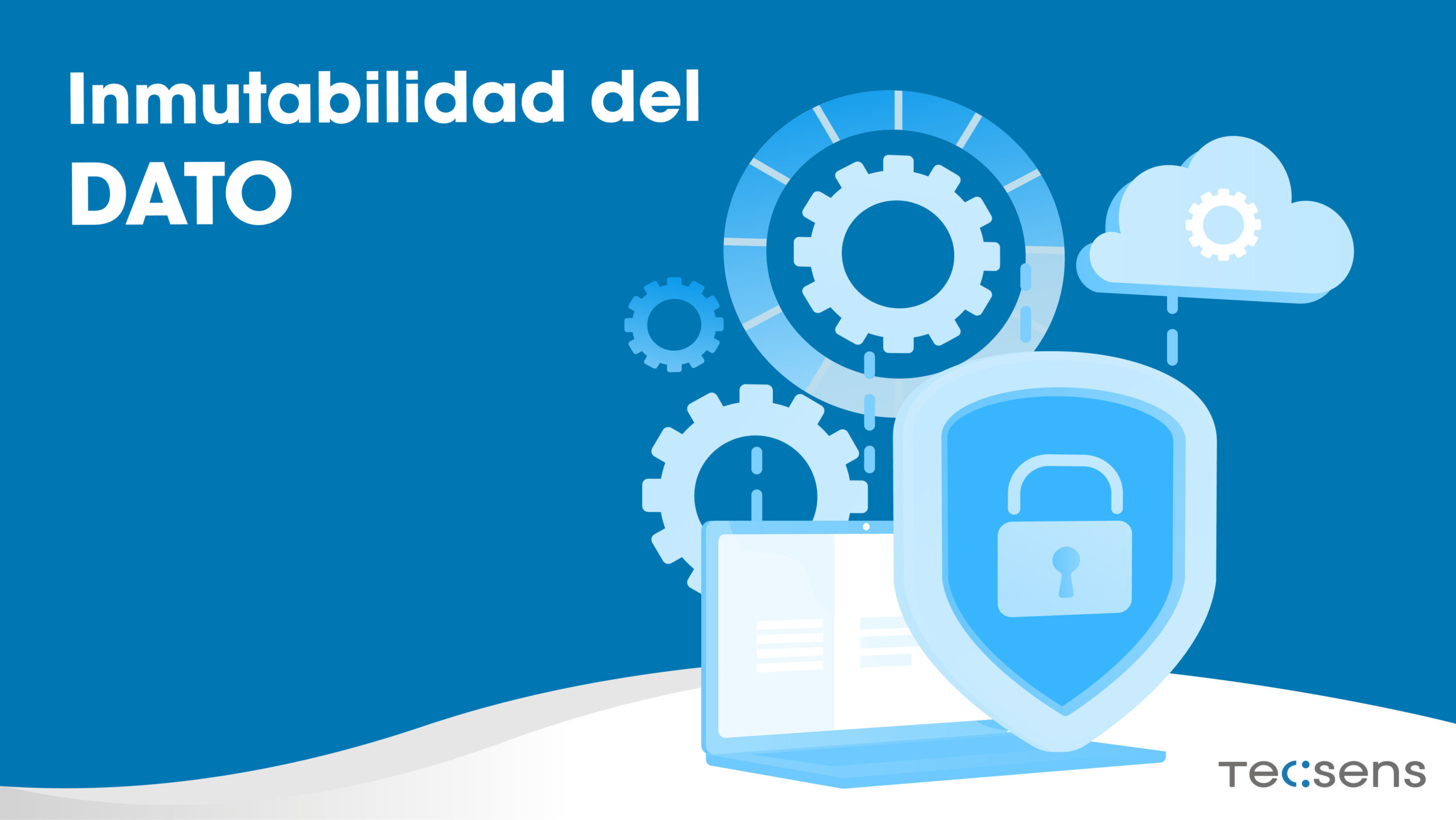 Inmutabilidad del dato Tecsens Seguridad TI