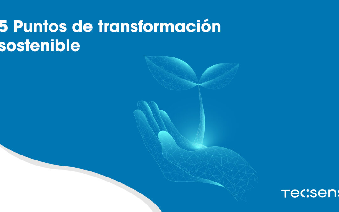 5 points of sustainable transformation