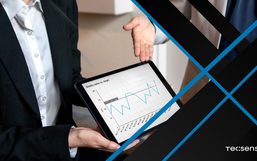 Resum de l’any 2024 a Tecsens